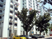 woodlands-street-11 photo thumbnail #8